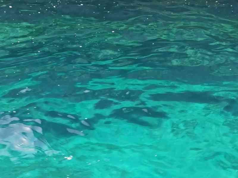 Eau cristalline, photo gratuite