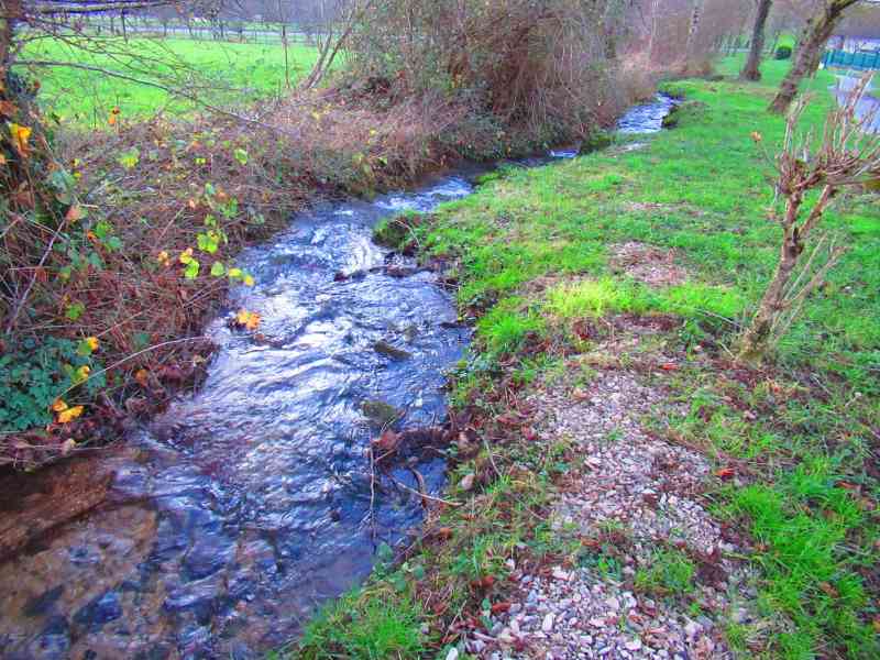 Ruisseau dans la campagne, rivière, verdure, nature