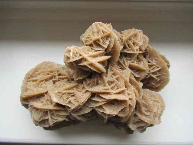 Rose des sables du désert