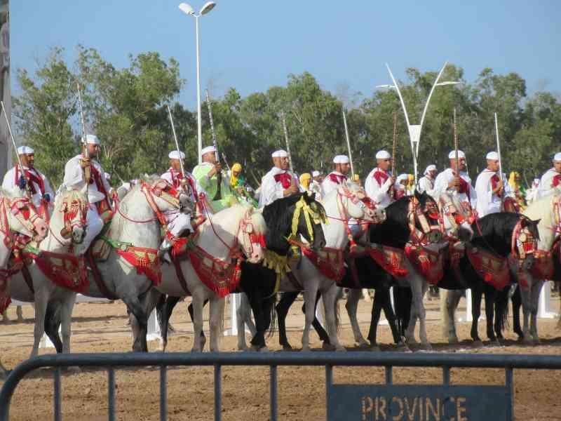 Le point de depart d'une course des chevaux Tbourida fantasia photo gratuite