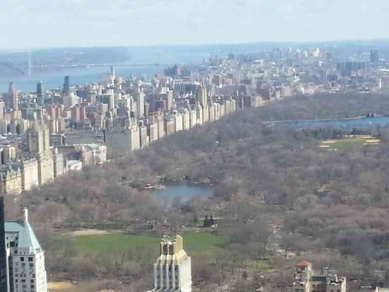 Aerial view of Central Park in New York, USA, free photo