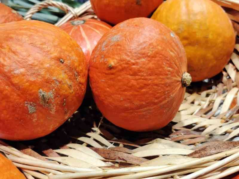 Légumes potimarron dans un panier en vente photo gratuite