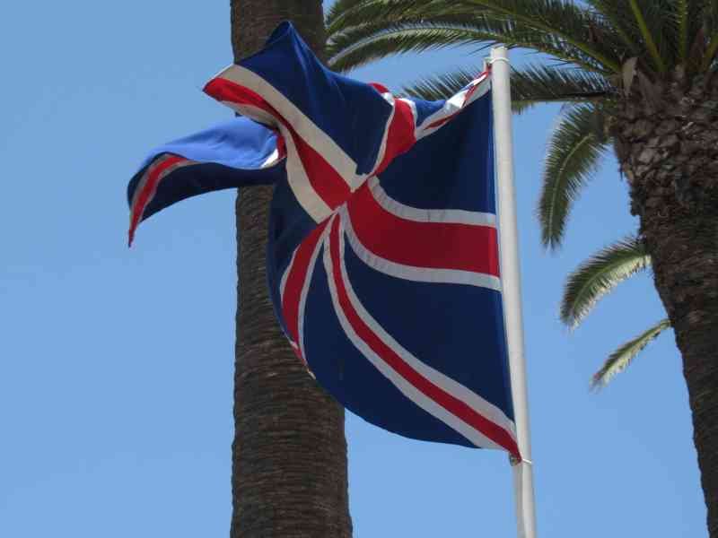 Le drapeau national du Royaume-Uni devant un palmier, photo gratuite