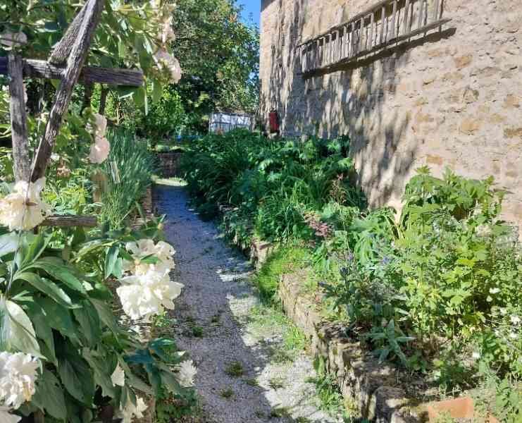 Un chemin de jardin bordé de plantes et d'un mur, photo gratuite