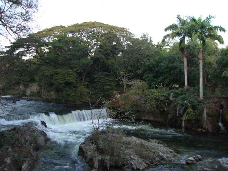 Un paysage naturel comprenant une rivière avec une cascade, où l'eau s'écoule sur des rochers, une végétation, avec de grands arbres et des palmiers, des structures en pierre, photo gratuite