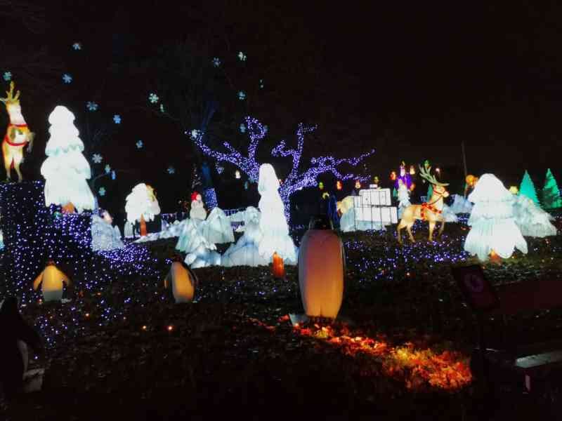 Jardin hivernal au sentier des lanternes à Metz