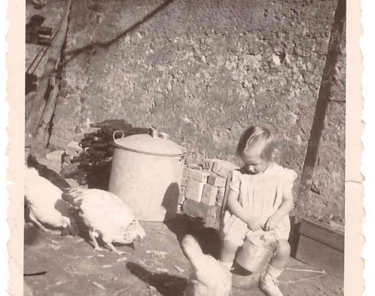 Free photo from Germany, 1948, of a little girl feeding chickens