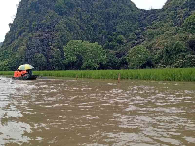 Baie d'Halong, paysage spectaculaire de pics calcaires, Vietnam, photo gratuite