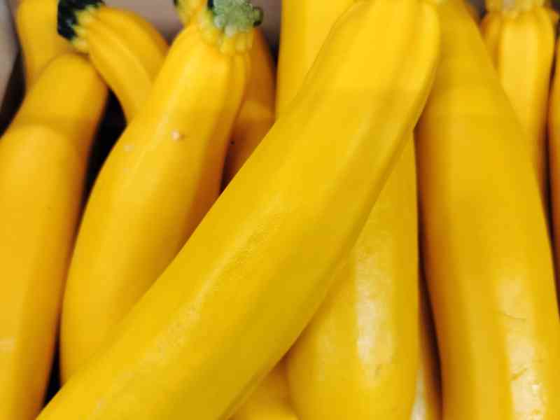 Courgettes longues jaunes