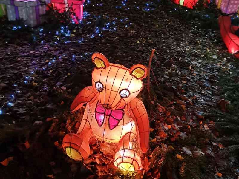 Nounours au sentier des lanternes à Metz
