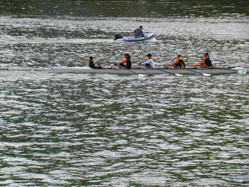 Aviron sur le Douro à Porto