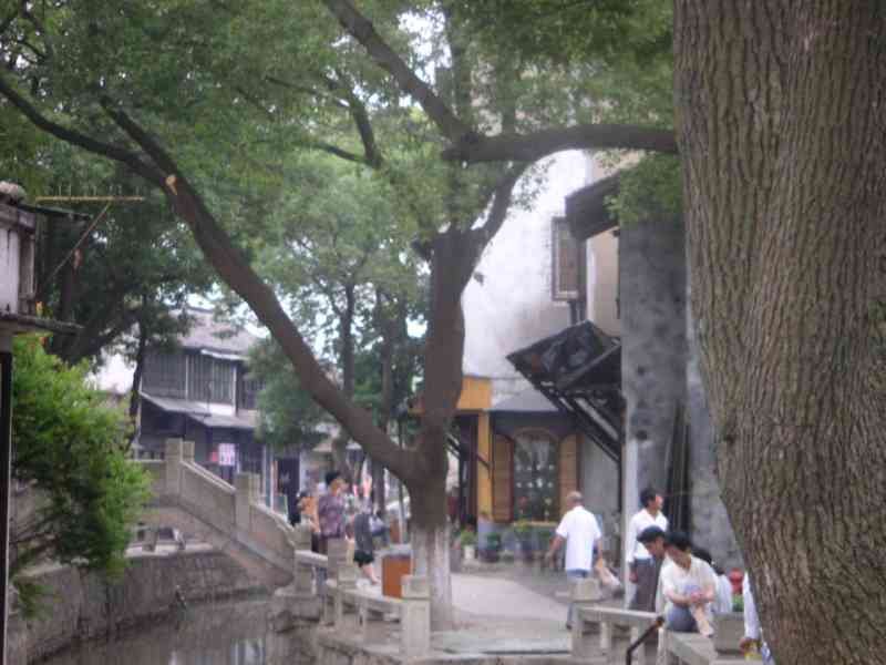 Trees by the lake in an alley in China, people sitting by the canal in Suzhou, Asia free photo.