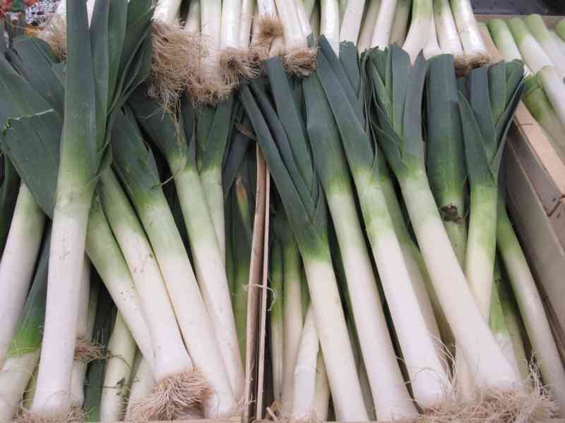 Poireaux, légumes, photo gratuite