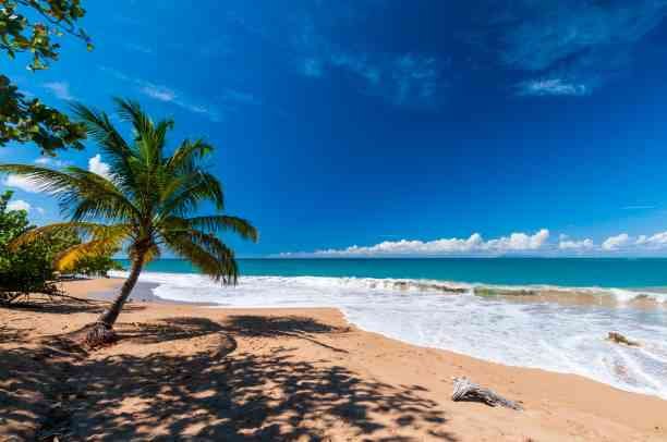 Plage de la Perle en Guadeloupe