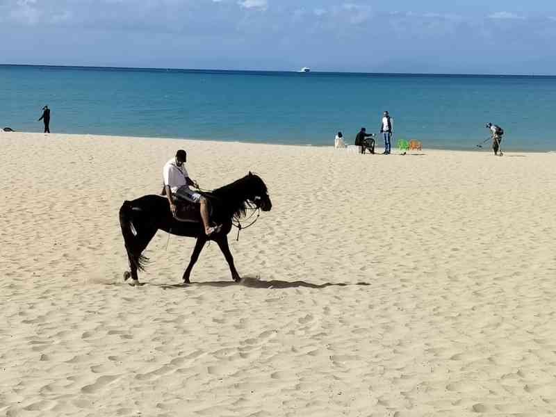 Cavalier monte un cheval sur une plage de sable ensoleillée, photo gratuite