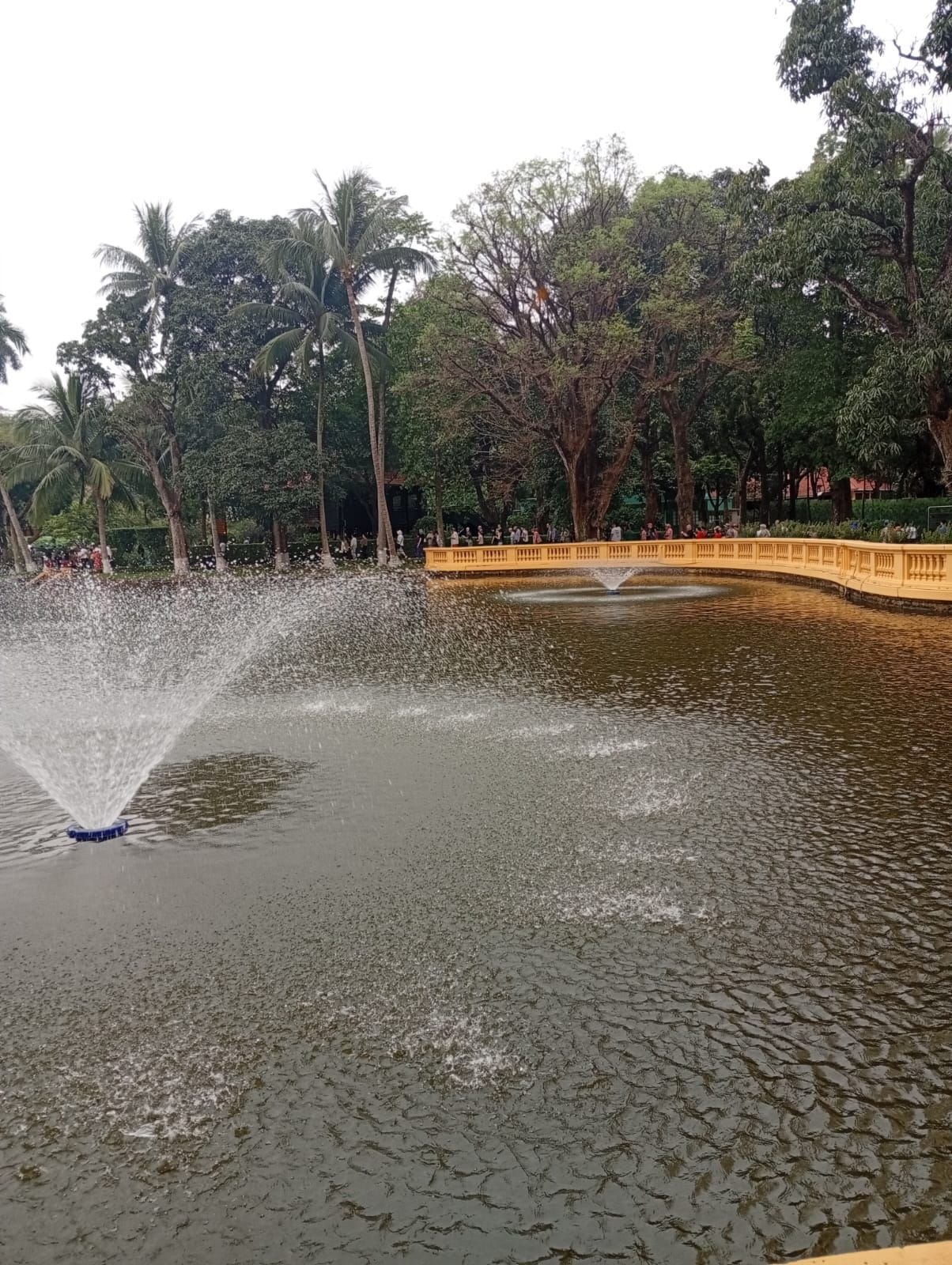 Bassin aux carpes à Hanoï, au Vietnam, photo gratuite