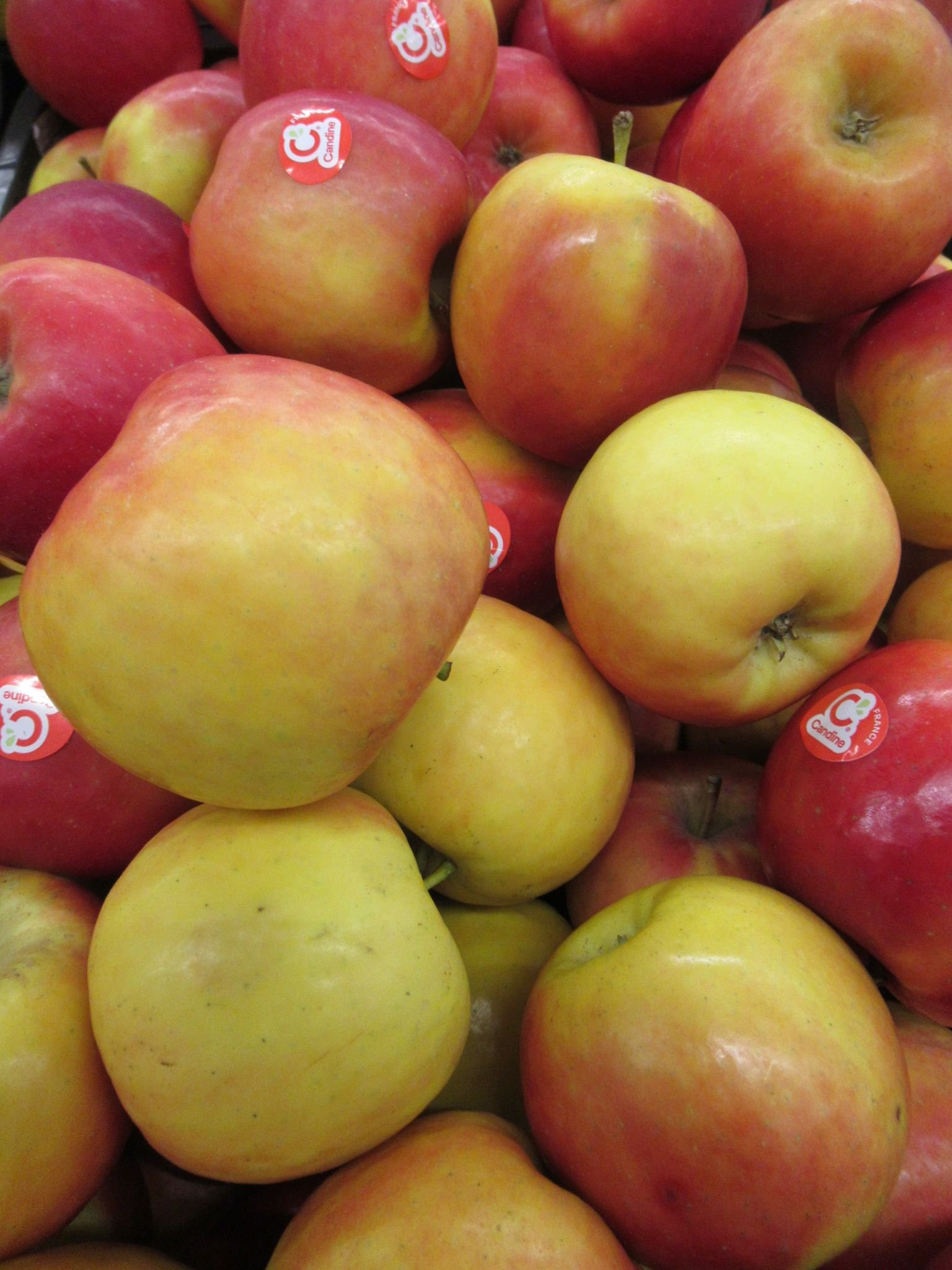 Pommes, fruits, photo gratuite