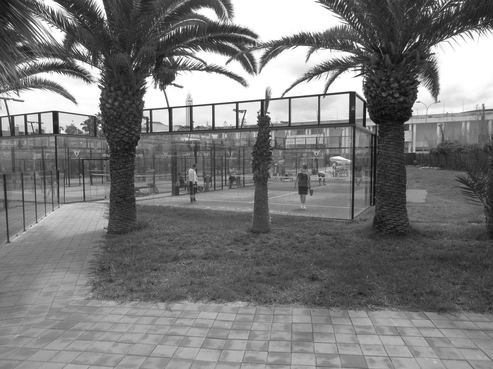 Un terrain de padel entouré de parois vitrées et de grillages métalliques photo gratuite