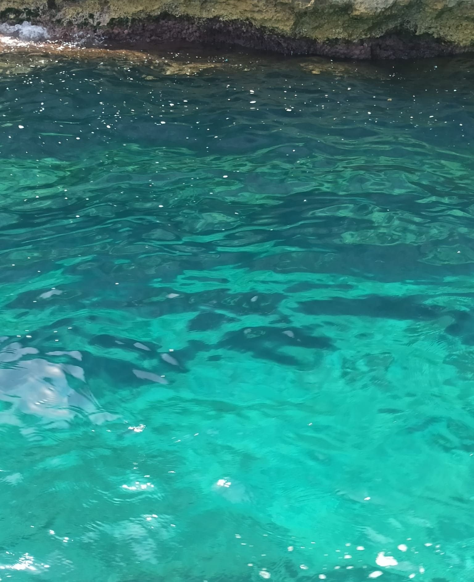 Eau cristalline, photo gratuite