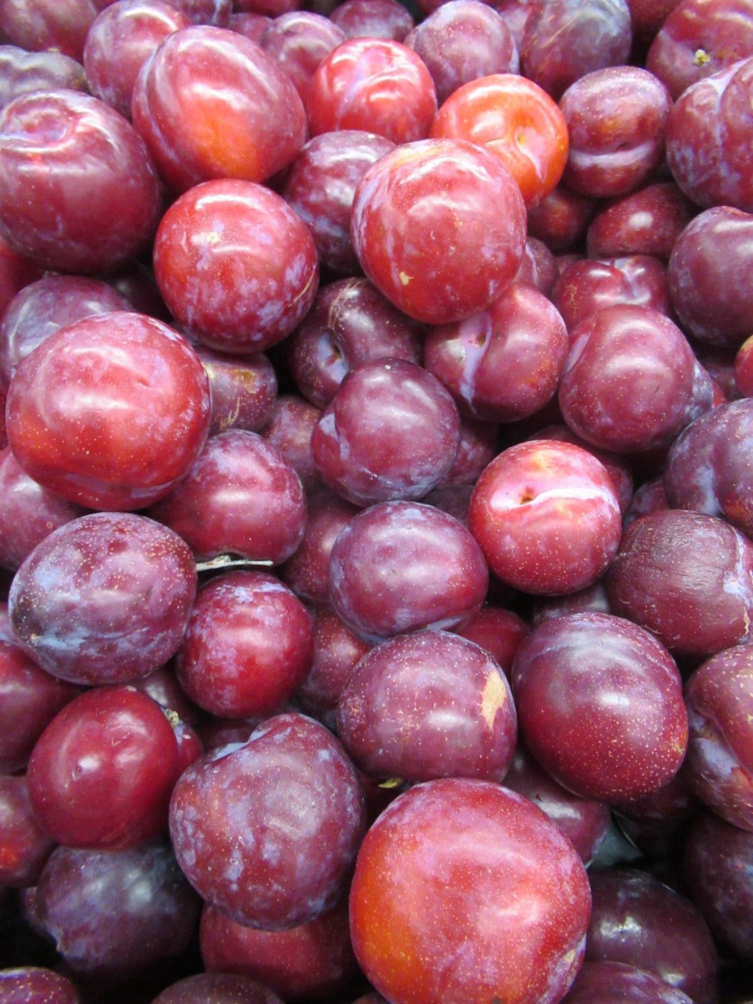 Prunes, photo gratuite