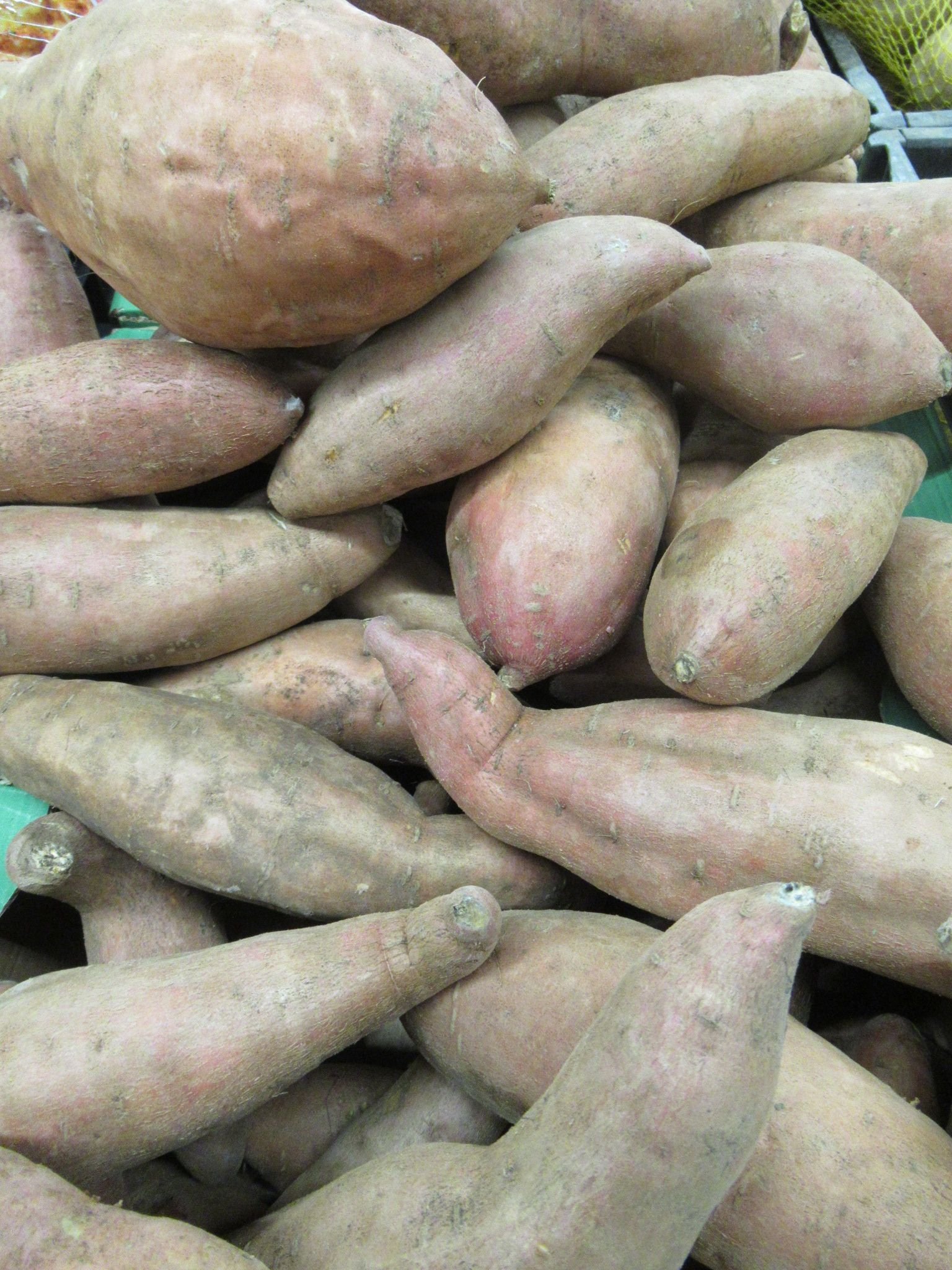 Patates douces, photo gratuite